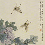 2024送料無料岡山の画家　石井金陵　蝙蝠　瀧之図　A402ワdr 花鳥、鳥獣