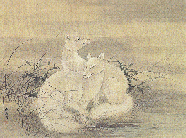 源琦「白狐図」京都民芸館蔵