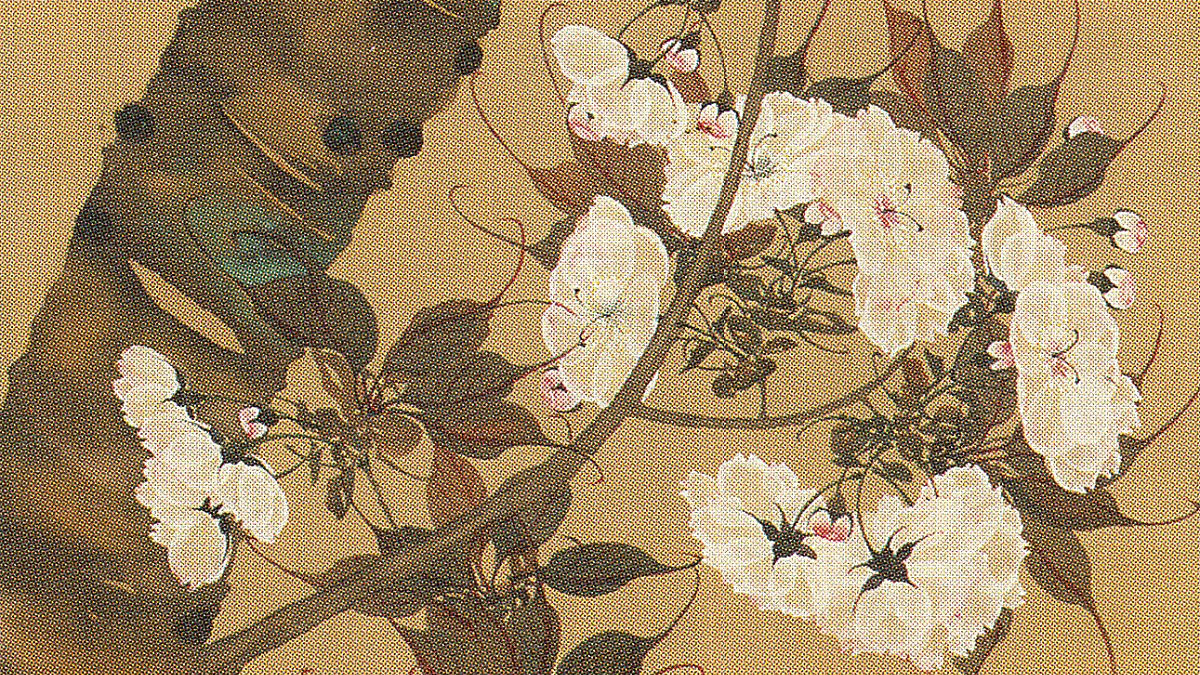 織田瑟々、【八重伊勢桜図】、希少画集画より、状態良好、新品高級額装付 三熊派の伝統を守って桜の花を描き続けた織田瑟々 - UAG美術家研究所