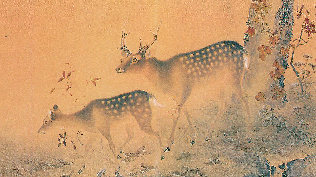 2e0c9345a8fff30f43780dae978bc1