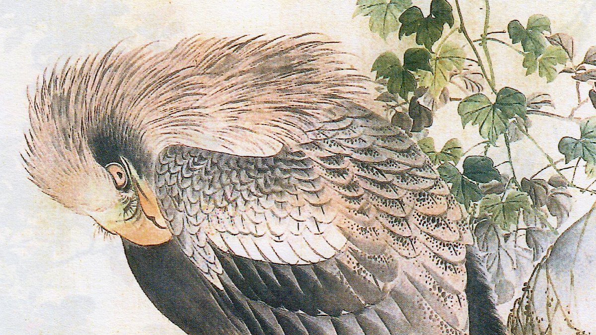 西山完瑛に学んだ武部秋畦・白鳳兄弟 - UAG美術家研究所