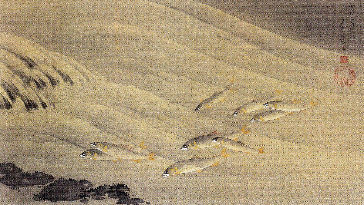 下野に鮎画を中心とした画風を伝えた近江商人・島崎雲圃 - UAG