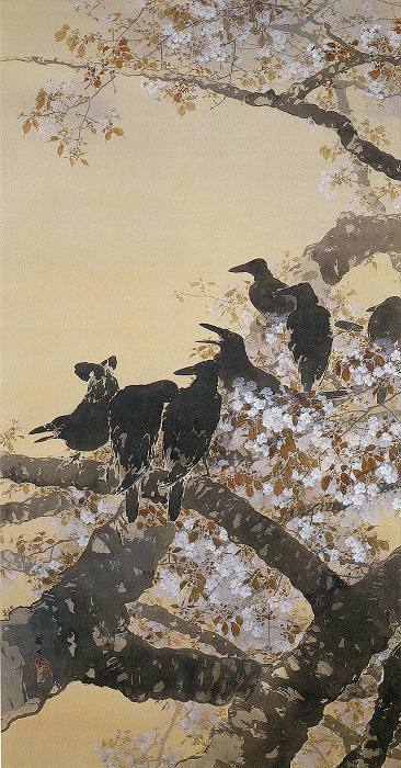 菊池芳文「桜花群鴉図」